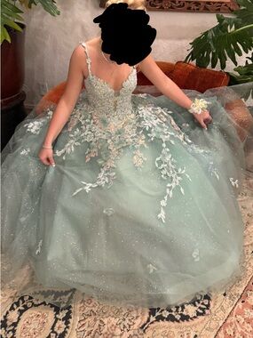 Sparkly Floral Ball Gown Dress in Sage Green